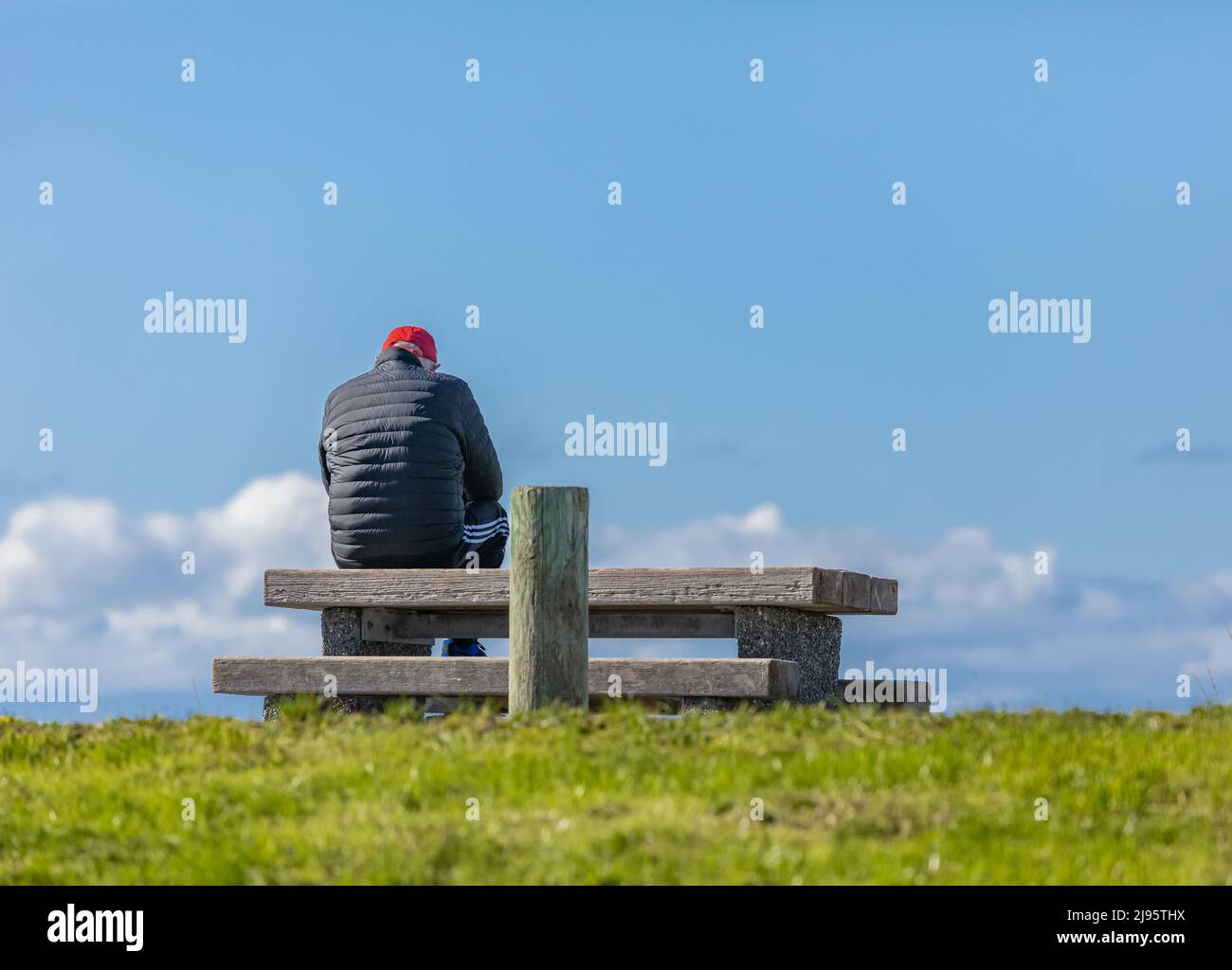 A man sitting alone on bench in the park. Thinking about life. Spending time alone in nature. Thoughtful old man sitting on park alone. Back view, cop Stock Photo