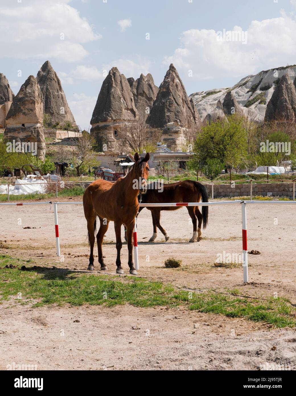 Horses for tourists to ride. Goreme, Nevsehir, Turkey Stock Photo Alamy