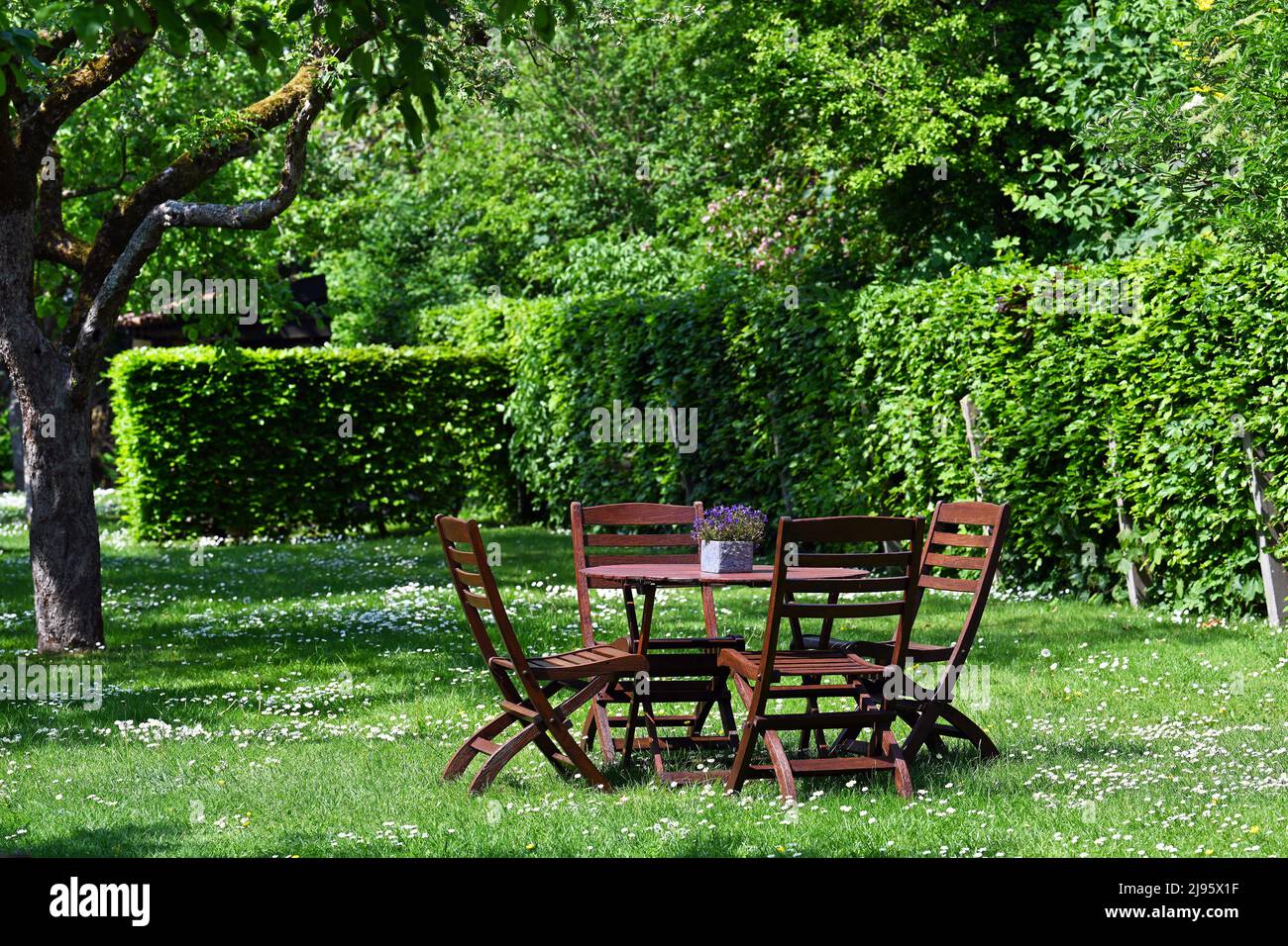 Seats in a lush garden Stock Photo