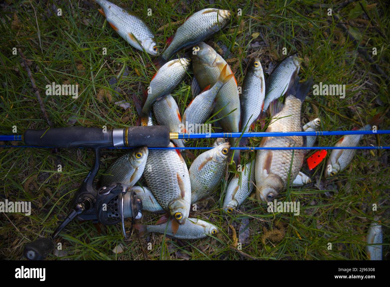 Holding stringer of fish hi-res stock photography and images - Alamy