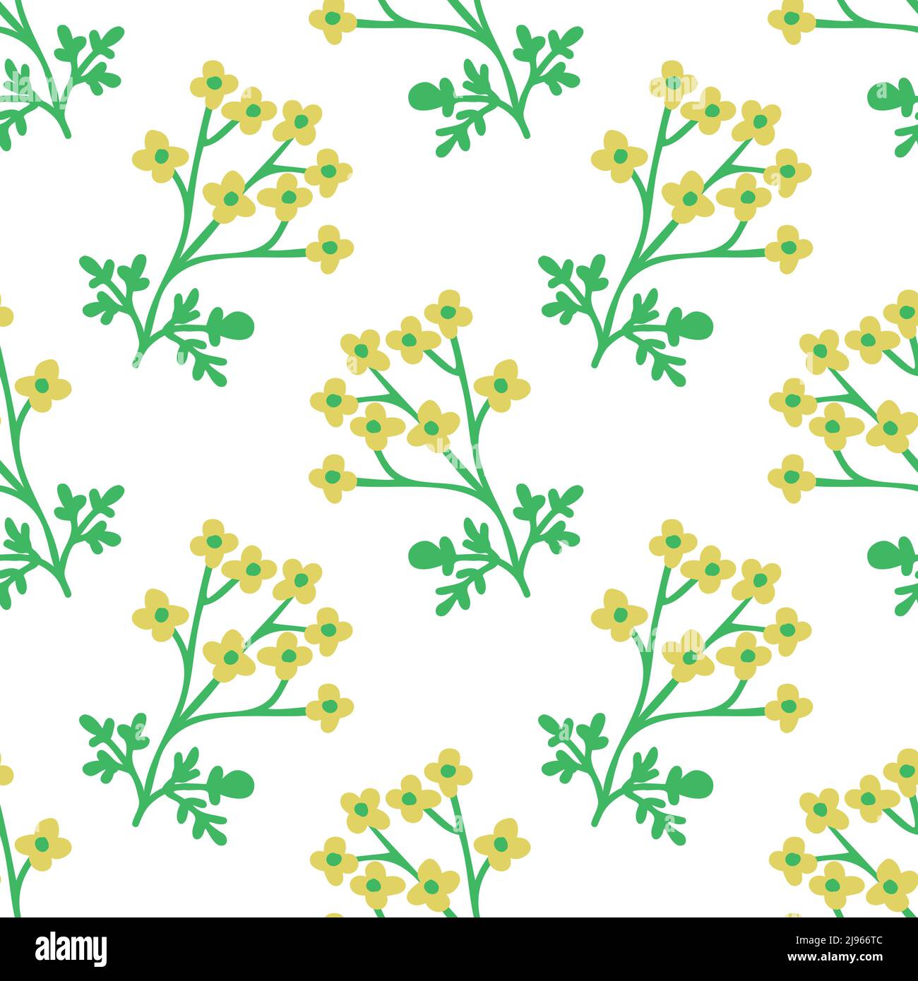 Yellow flowers of rue Stock Vector Images - Alamy