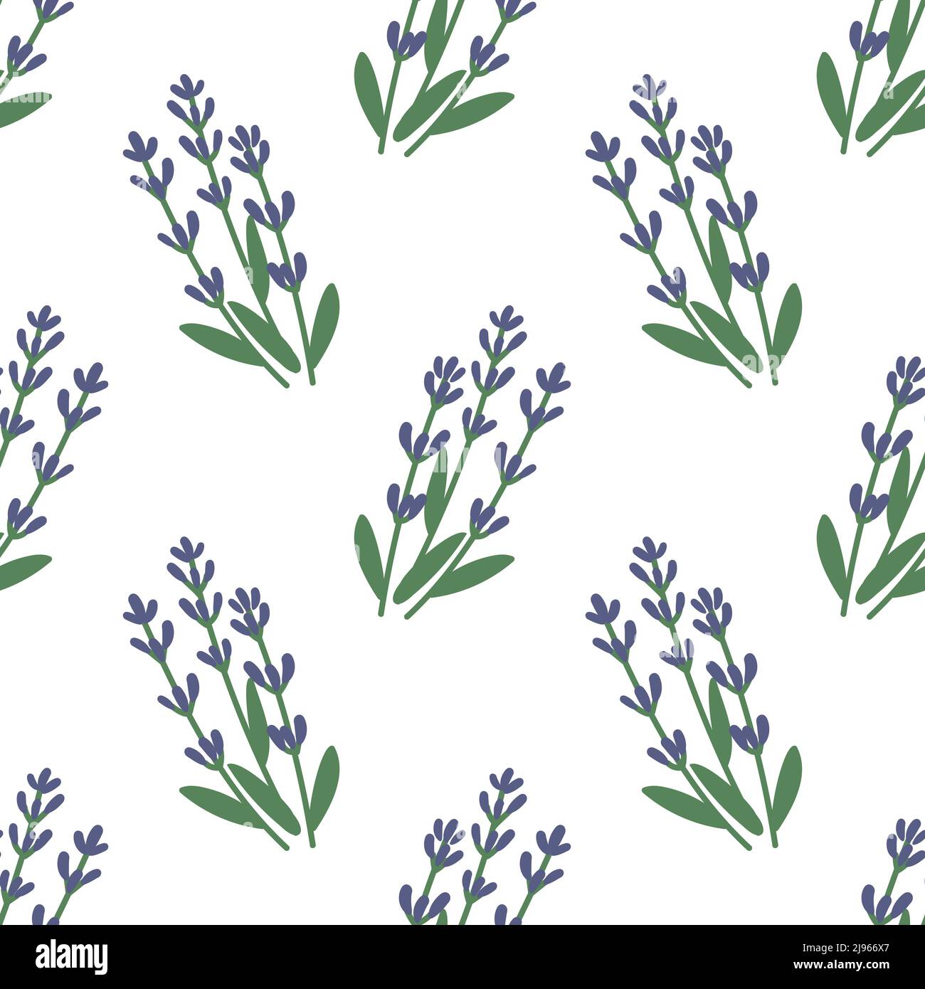 Lavender vector vectors hi-res stock photography and images - Alamy