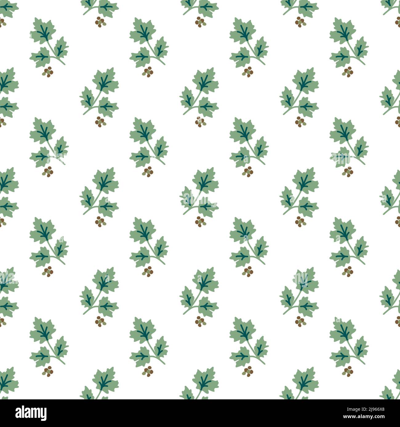 Seamless cilantro leaves and seeds pattern Stock Vector Image & Art - Alamy