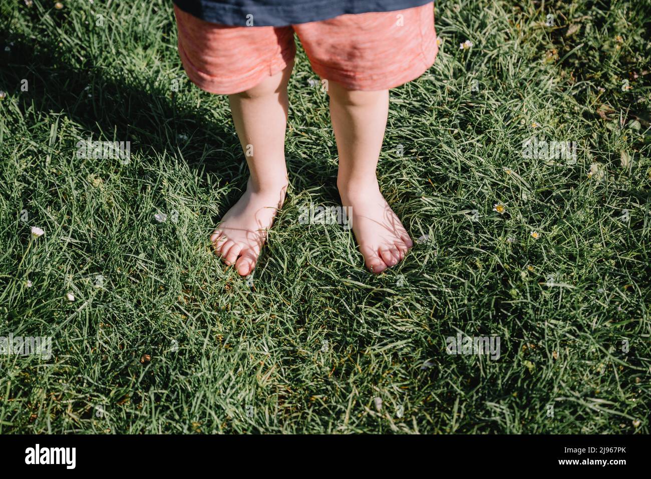 Close-up of a boy standing barefoot on the green grass in the garden. Live in nature concept Stock Photo