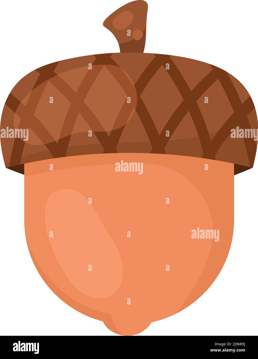 acorn nut seed nature icon Stock Vector Image & Art Alamy