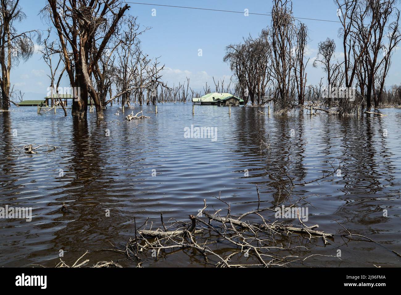 Submerged office blocks seen at the former entrance of Lake Nakuru. Over the last 10 years, Lakes in The Rift Valley have been rising steadily in what experts are pointing to as the effects of climate change. The flooding has displaced hundreds of people from their homes and work, the poor and marginalized communities bearing the brunt of it. Stock Photo