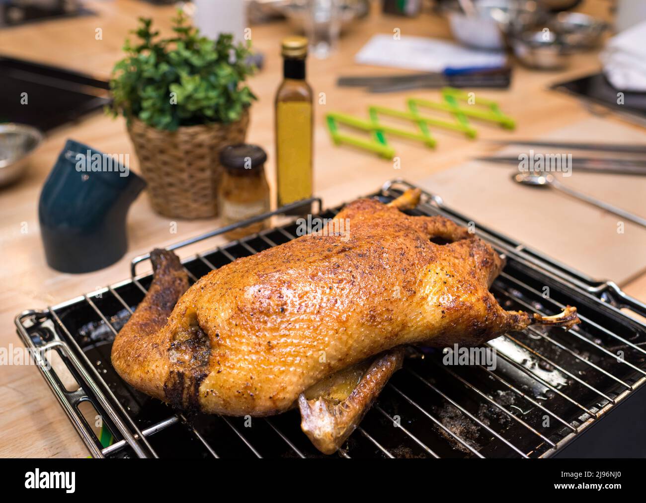 Baked duck on a rack and tray from the oven. The cooked duck cools