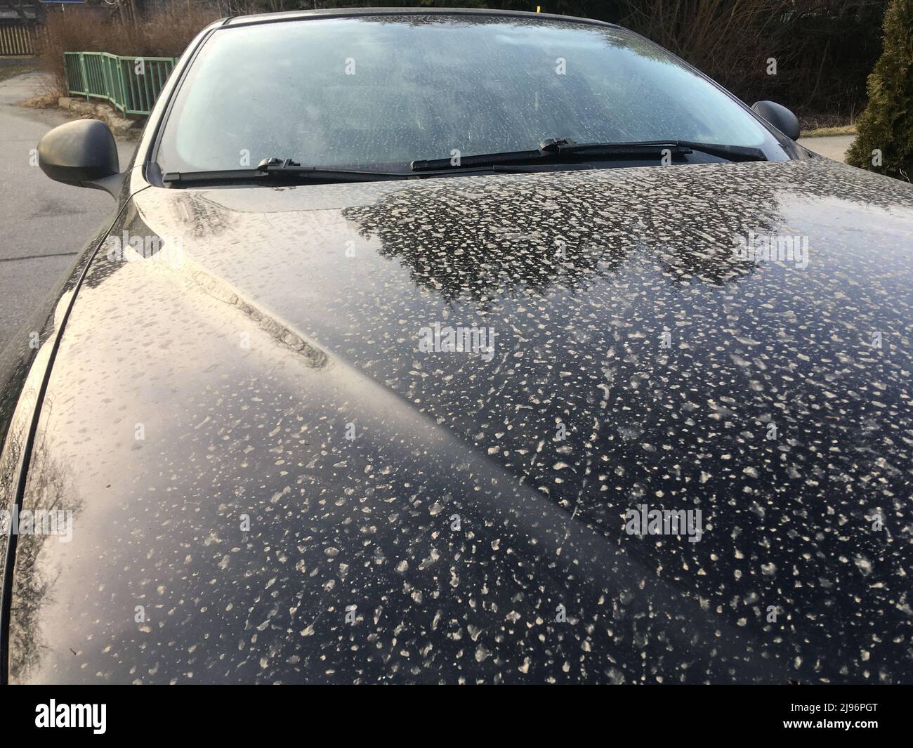 The detail of the remains of the desert dust on the car bonnet after the muddy rain. Not good for the varnish. Stock Photo