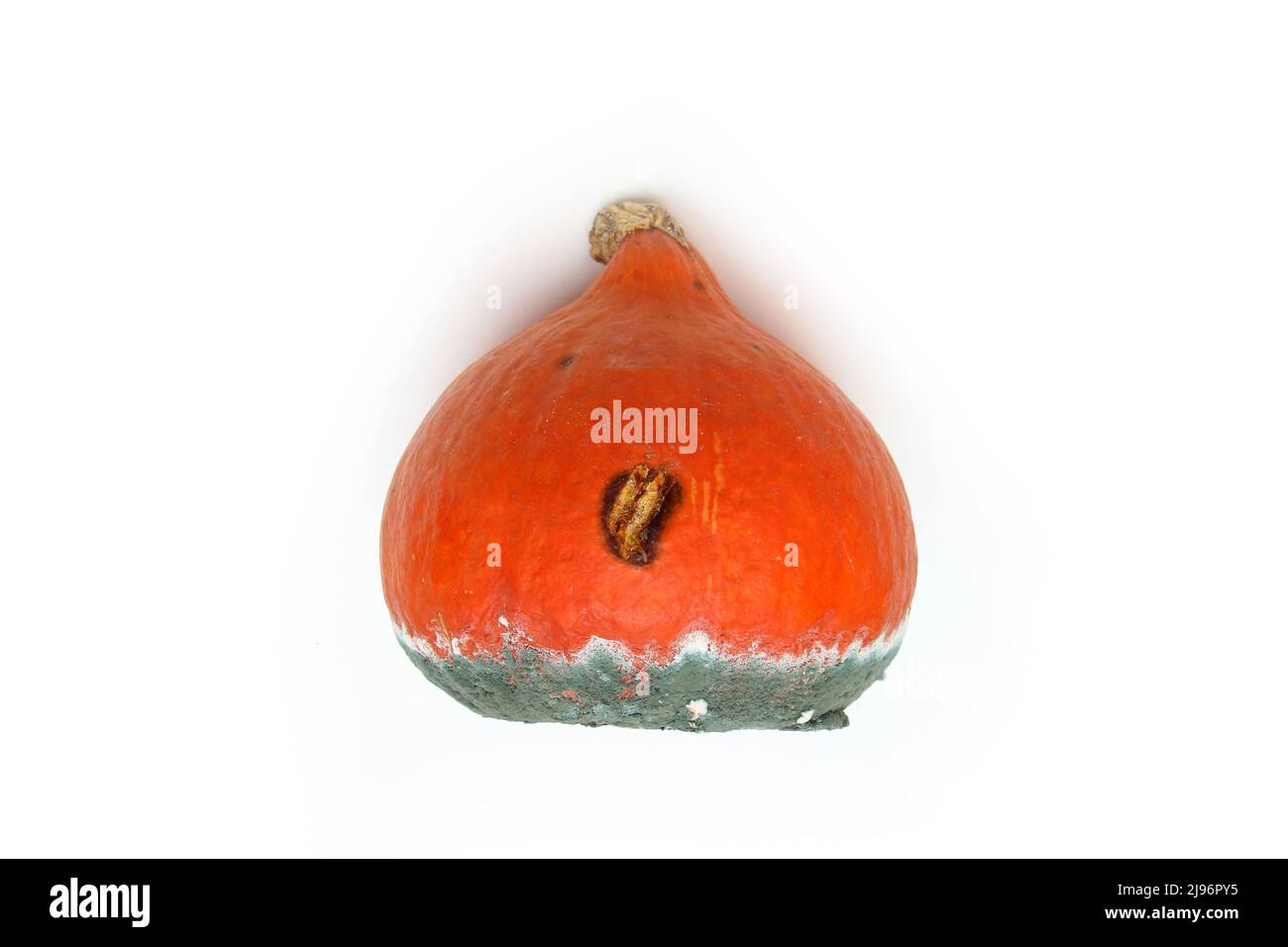 A picture of a rotten pumpkin isolated on a white background. Stock Photo