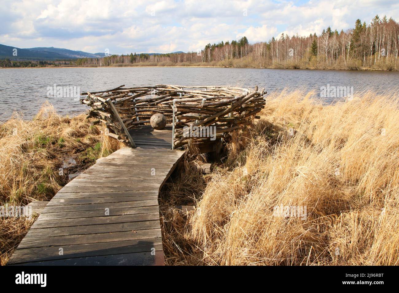 The protected area in Šumava national park in Czech Republic by the pond Olšina with its wooden pathways with a nest made of the branches. Stock Photo