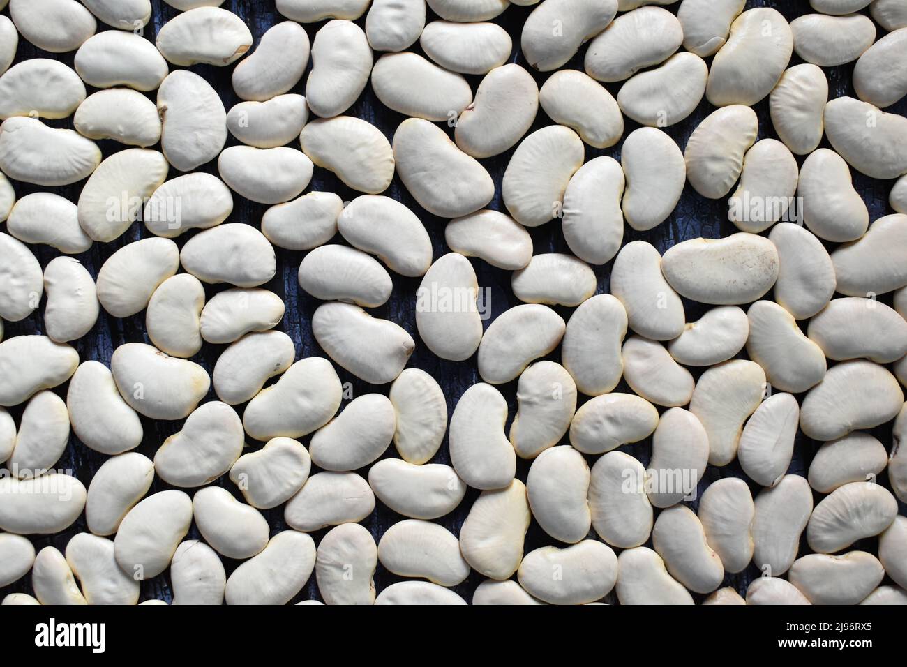 White color raw whole dried Butter bean Stock Photo Alamy