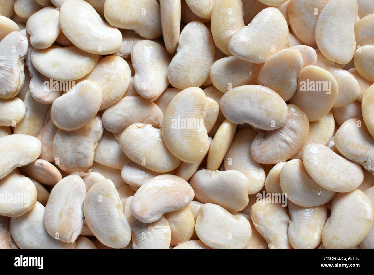 Soaked white color raw whole Butter bean Stock Photo Alamy
