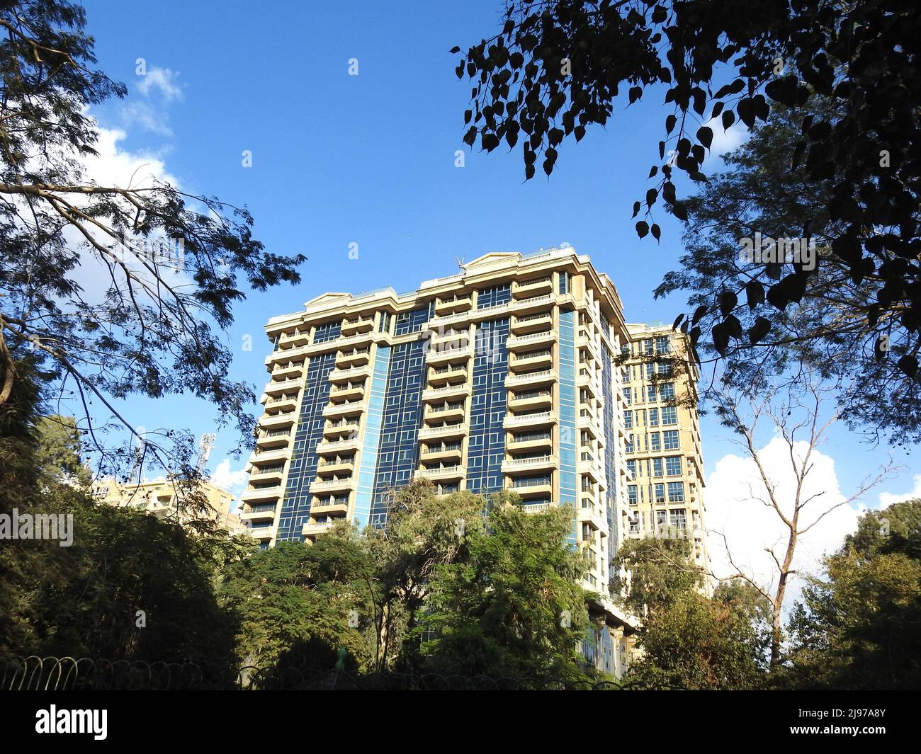 A very high modern building in Egypt surrounded with trees and green