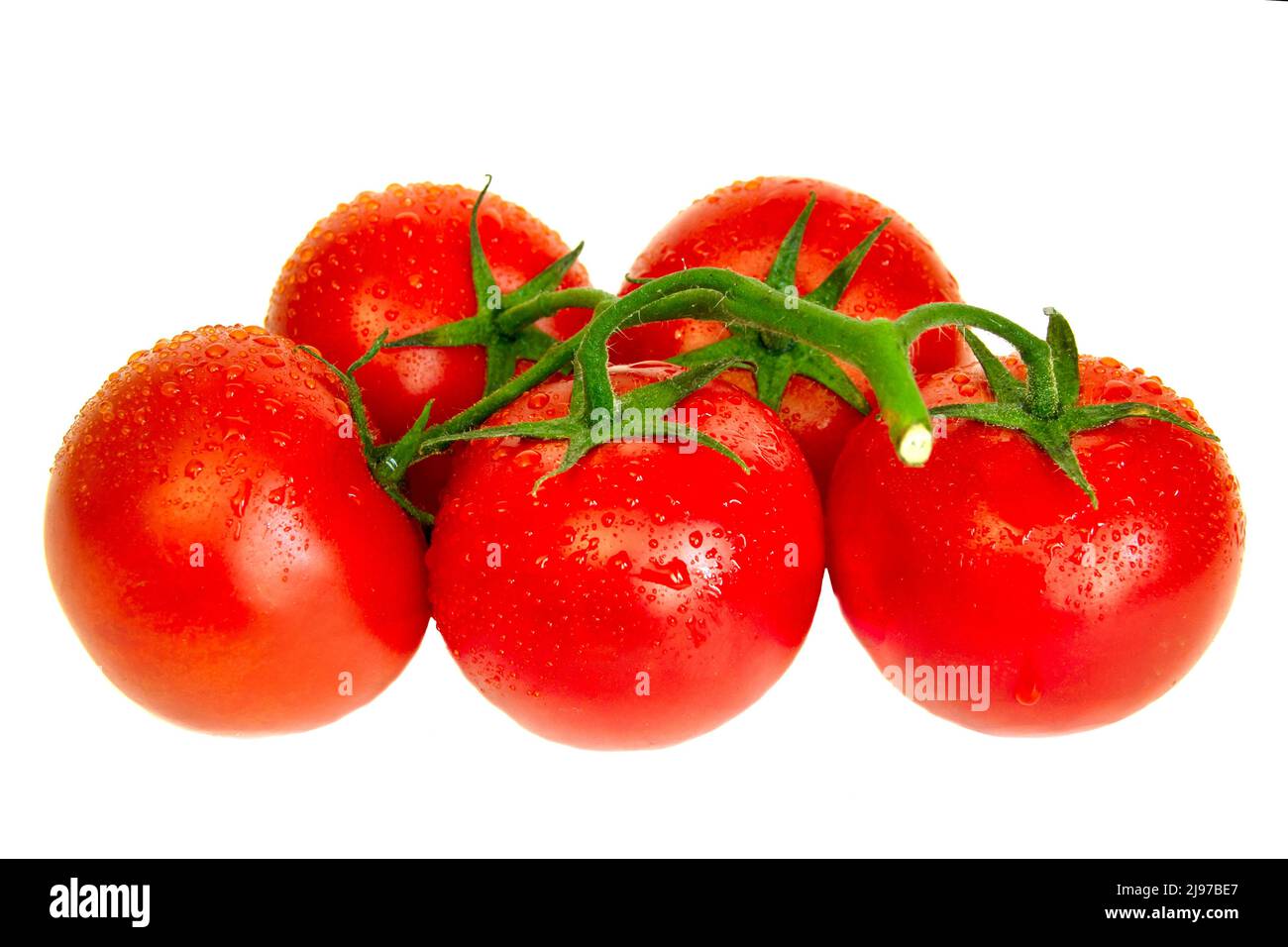 Bunch of fresh tomatoes with water drops. Isolated on a white ...