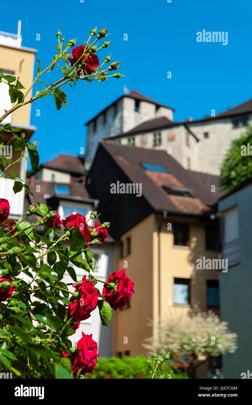 Red Roses and Blurred view at the historic castle in Feldkirch, Austria Stock Photo
