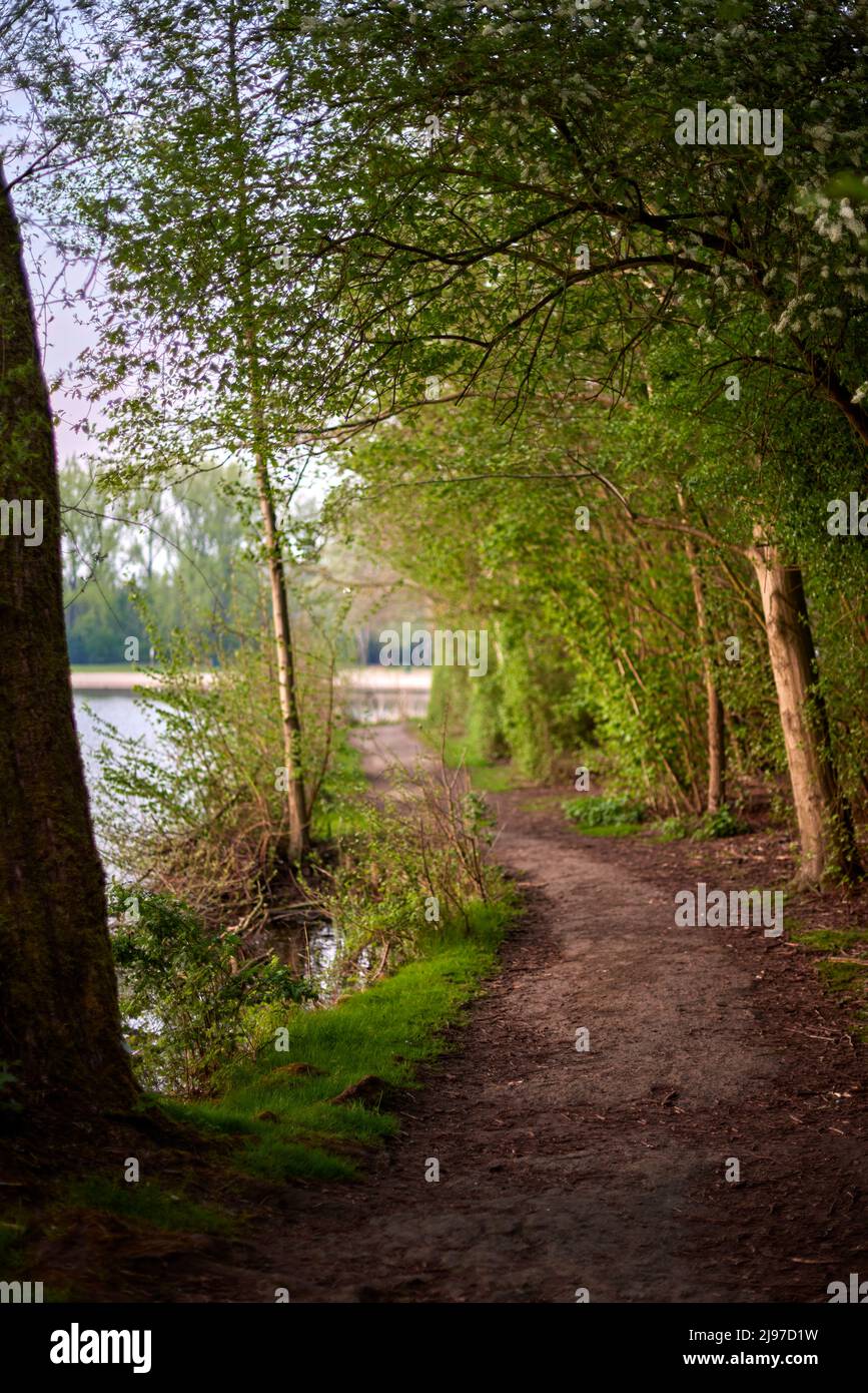 Path in forest at sunset in Ghent - Belgium Stock Photo