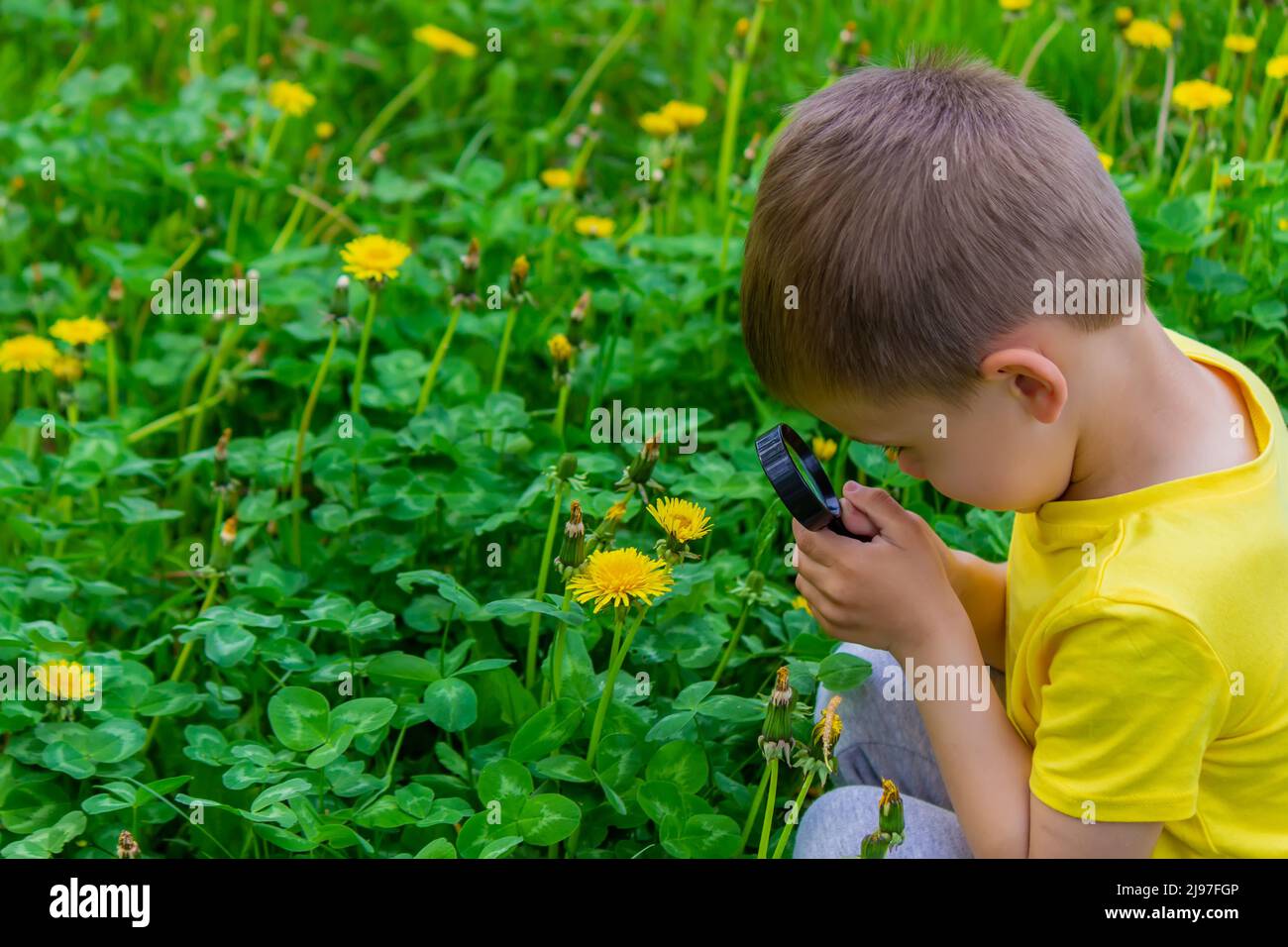 The child looks through a magnifying glass at the flowers Zoom in. selective focus. Stock Photo