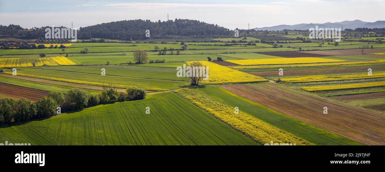 Growing Fields in Baix Emporda, Catalonia Stock Photo
