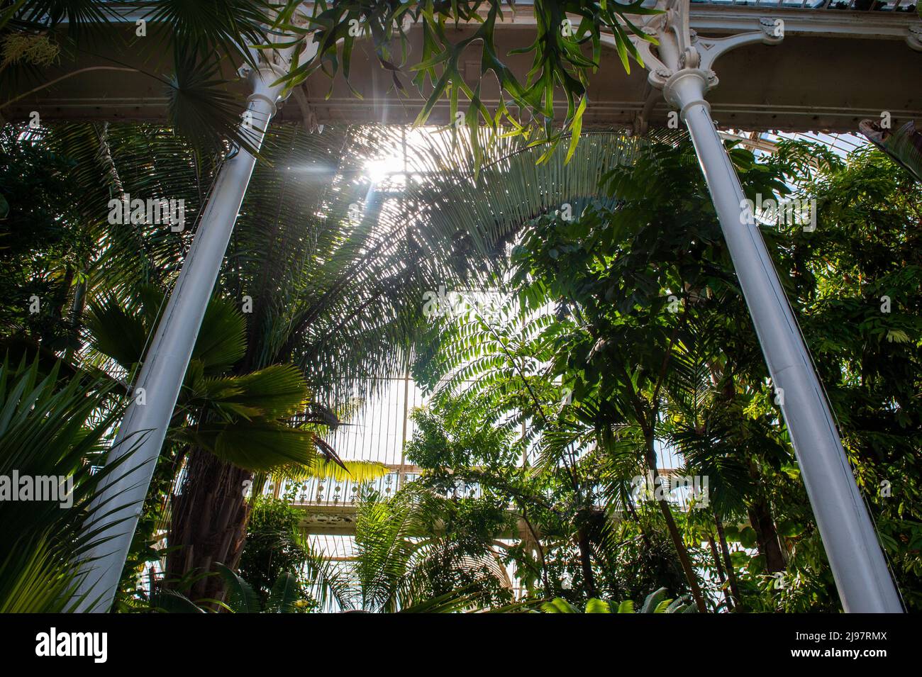 Glass House, Kew Gardens Stock Photo Alamy