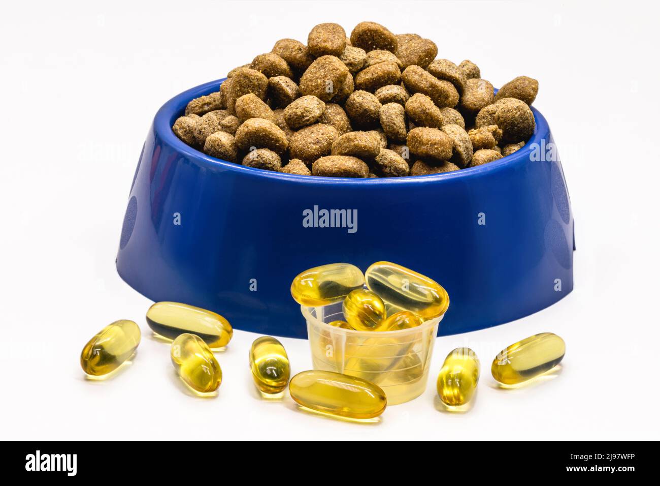bowl of pet food with omega 3, vitamin for domestic animals that makes