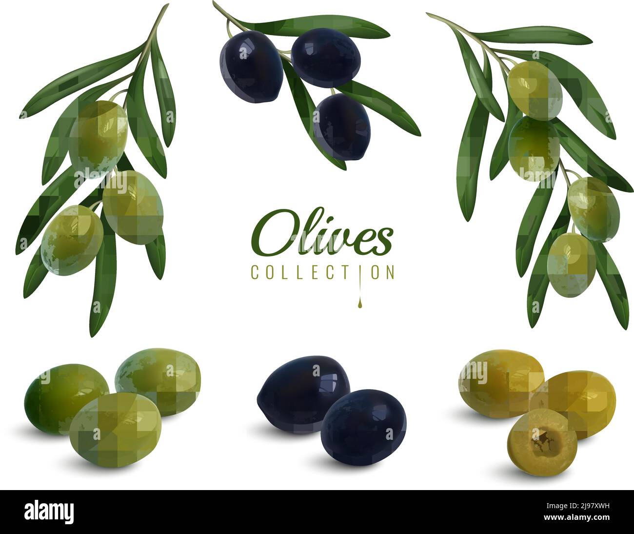 Set of realistic branches of olives with leaves, green and black glossy ...