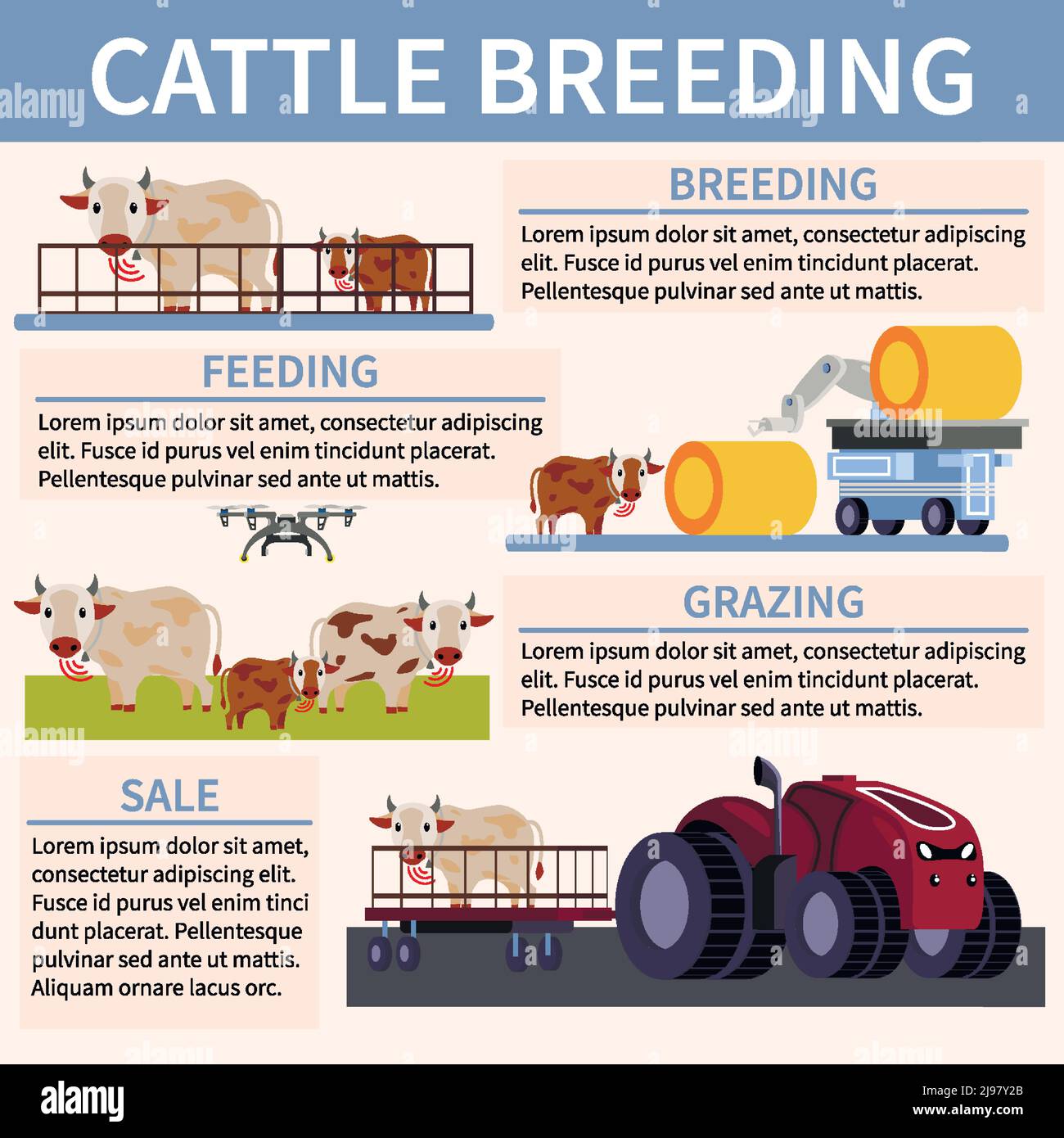 Colored smart farming orthogonal flat flowchart with feeding breeding ...