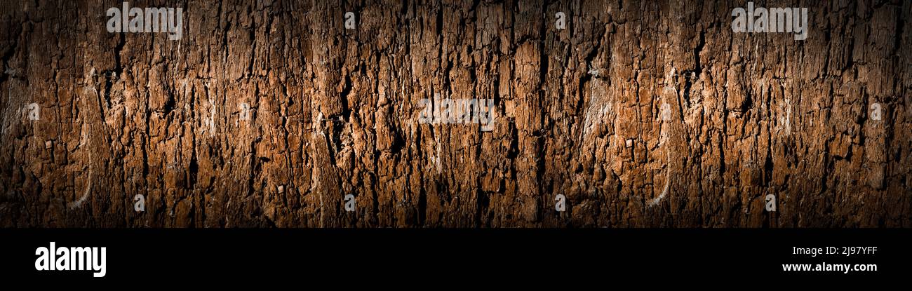 Texture of old wood with cracks. Old, cracked wood background, high ...