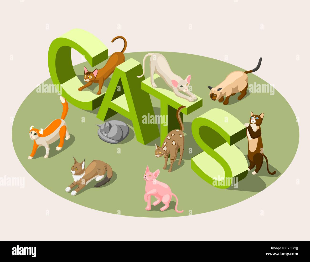 Purebred cats of various breeds and green typographic 3d lettering ...