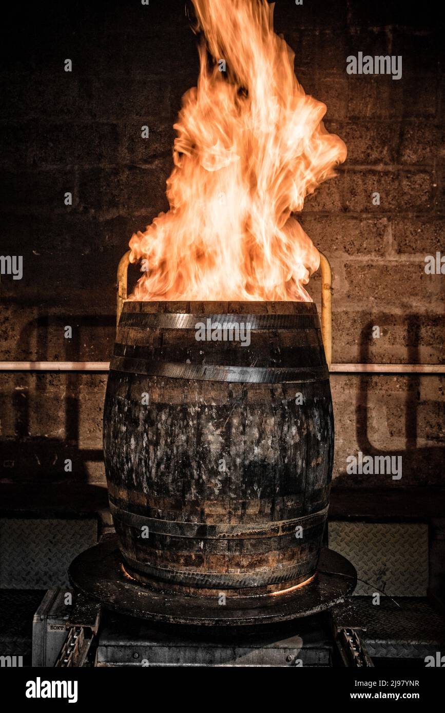 Scotland, Craigellachie . Casks are heated over an open fire to ensure they are tight, and to aid in shaping them, at the Speyside Cooperage. Stock Photo