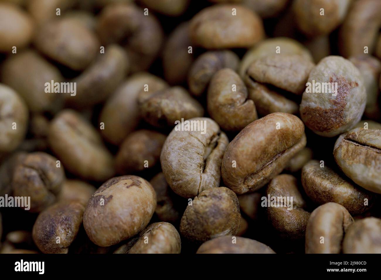 dry organic green bean coffee Stock Photo Alamy