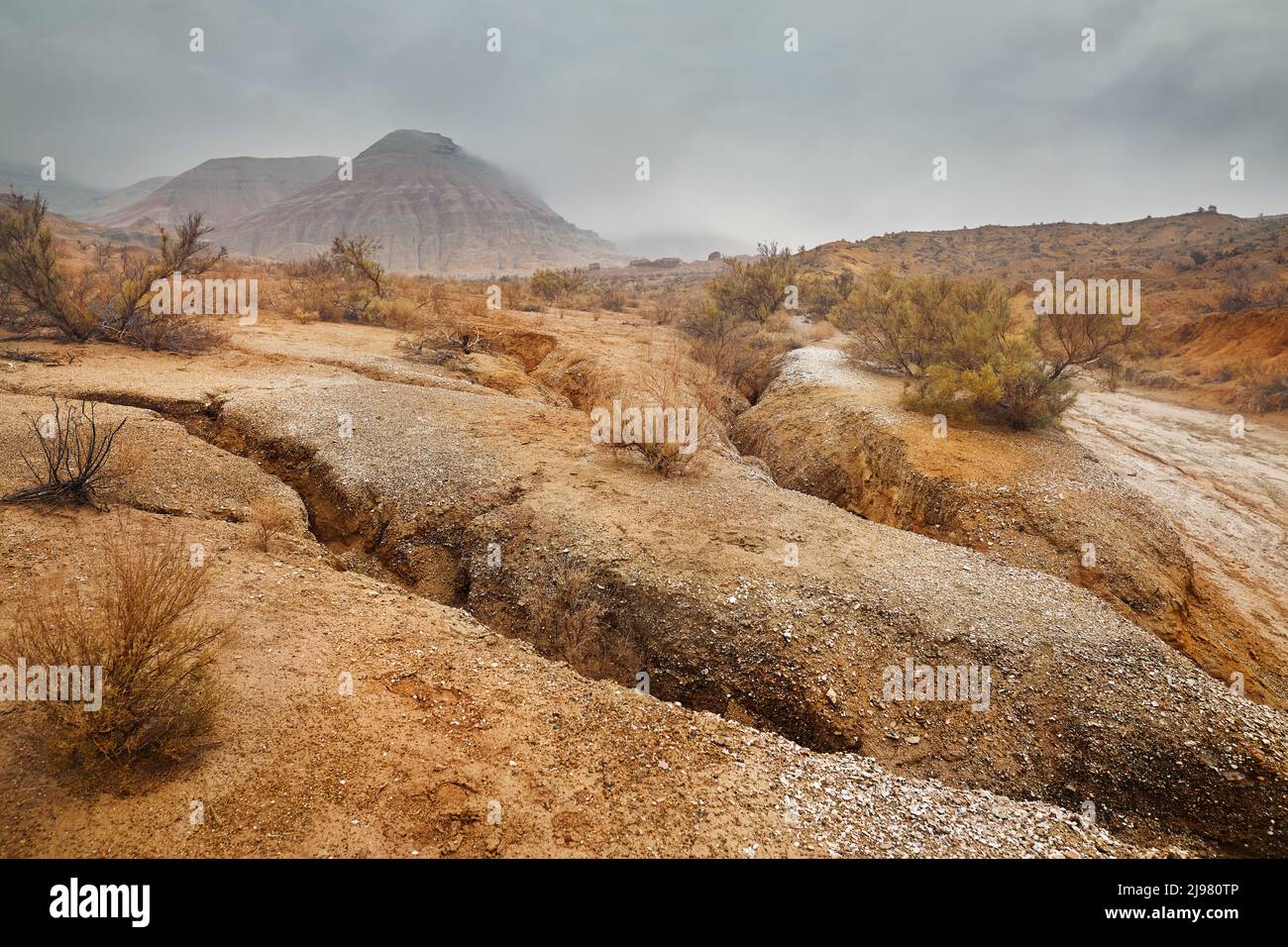 Landscape of Red mount with stripe bizarre layered mountains in canyon at fog overcast cloudy sky in beautiful desert park with dry plant at foregroun Stock Photo