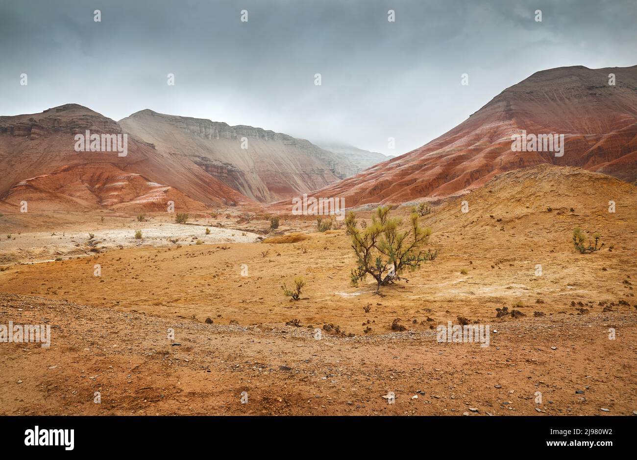 Landscape of Red mount with stripe bizarre layered mountains in canyon at fog overcast cloudy sky in beautiful desert park with dry plant at foregroun Stock Photo