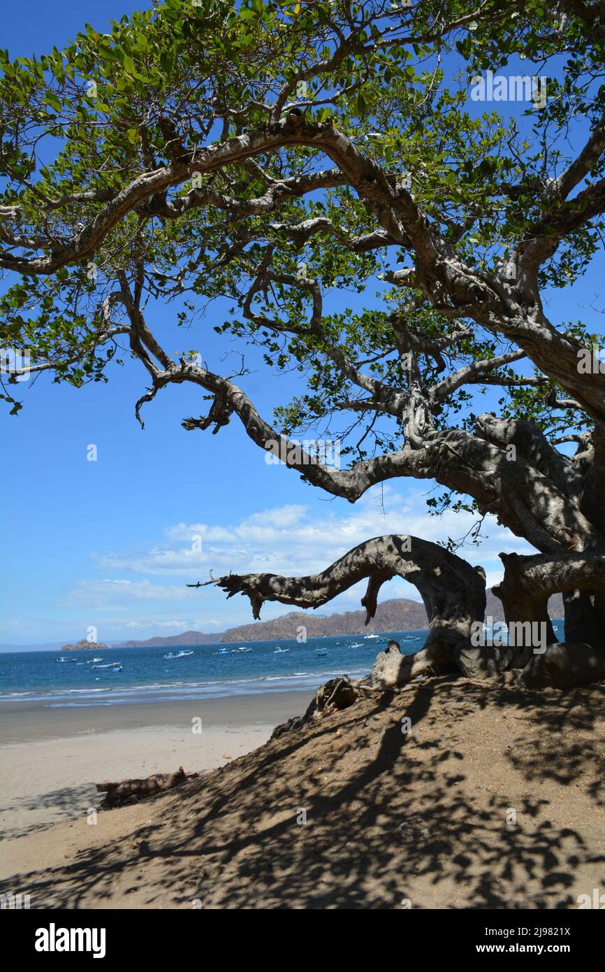 People on beach in Playa Coco, Costa Rica Stock Photo