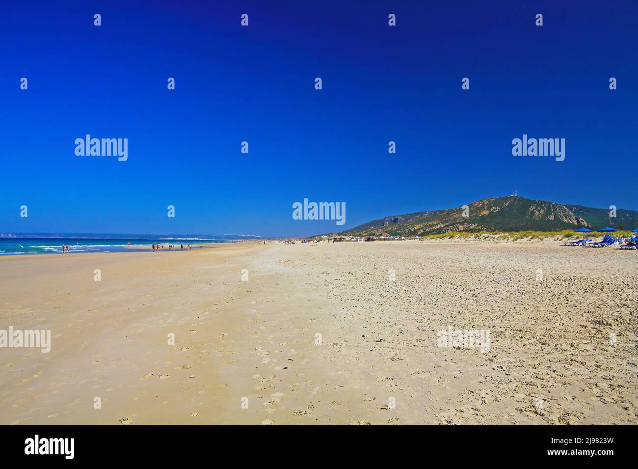 Beautiful atlantic ocean empty natural sand beach, hills, clear cloudless blue sky - Zahara de los Atunes, Costa de la Luz, Spain Stock Photo