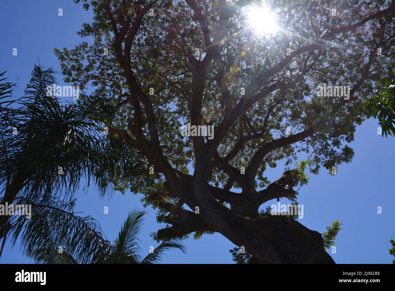 People on beach in Playa Coco, Costa Rica Stock Photo