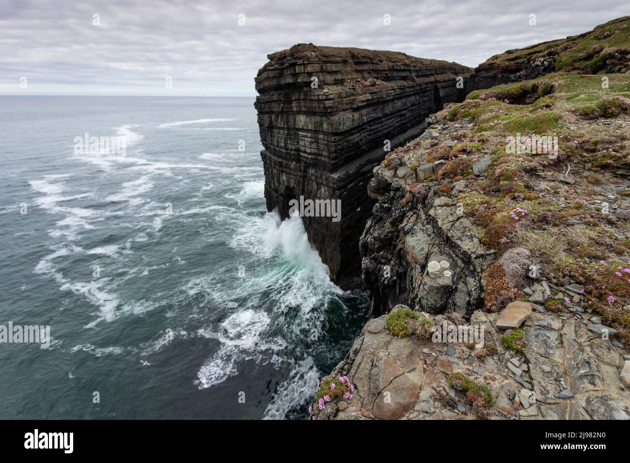 Rugged coast on the Wild Atlantic Way at Loop Head, County Clare, Ireland Stock Photo