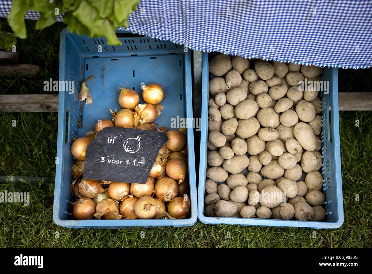 2022-05-21 10:26:13 UTRECHT - Onions and potatoes at a market stall on Koningshof where locally grown products are sold that have been grown in a sustainable way. ANP RAMON VAN FLYMEN netherlands out - belgium out Stock Photo