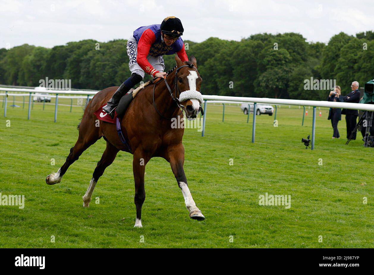 King's Lynn riden by David Probert wins the Cazoo Temple Stakes at ...