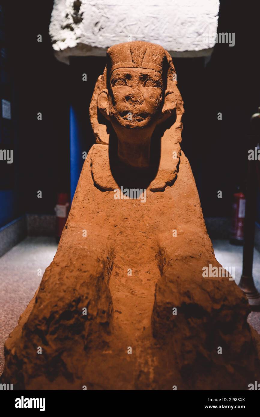 Ancient Egyptian exhibits in the Imhotep Museum, located near the