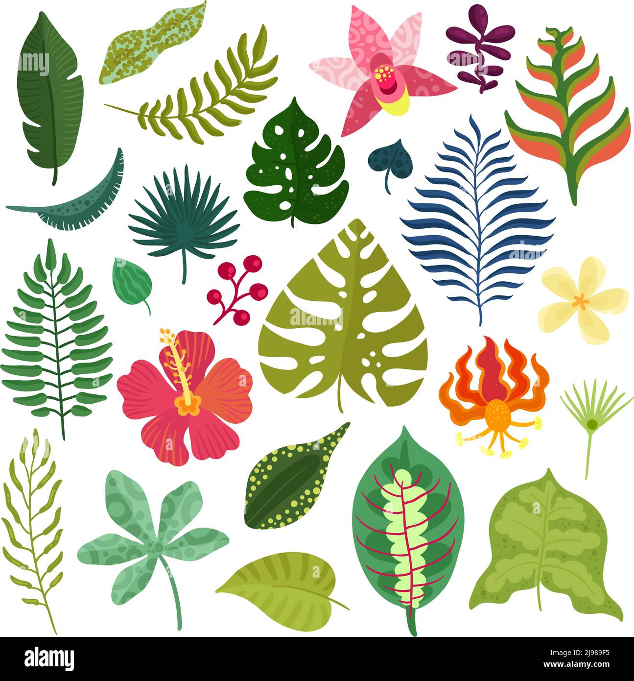 Tropical plants decorative elements collection with monstera leaves hibiscus orchids heliconia flowers fern fronds isolated vector illustration Stock Vector