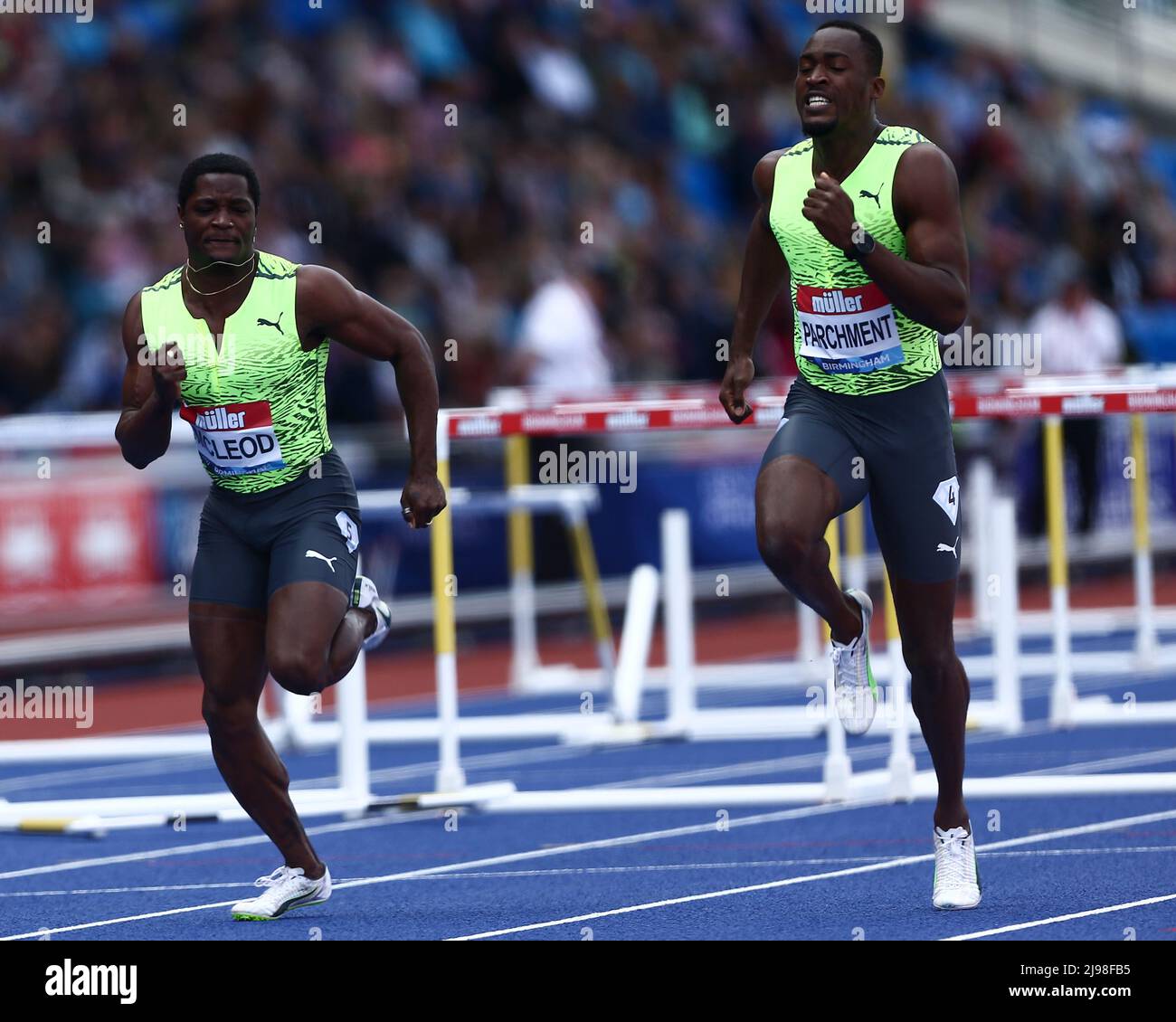 Hansle parchment hurdles hires stock photography and images Alamy