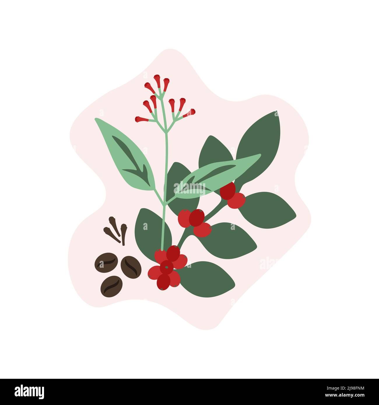 Cloves and coffee vector illustration Stock Vector Image & Art Alamy
