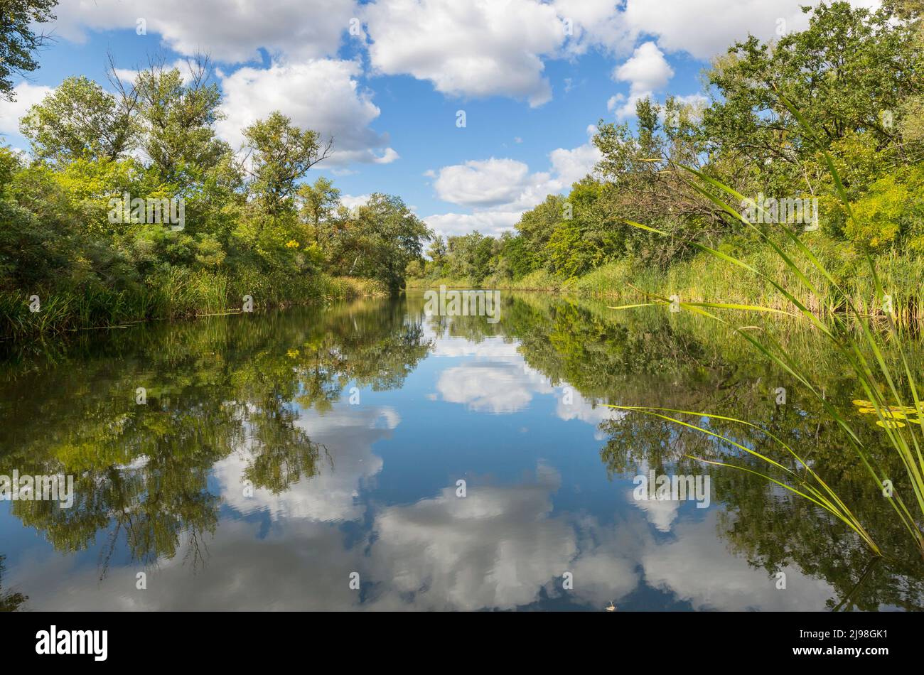 River bank in sunny hi-res stock photography and images - Alamy