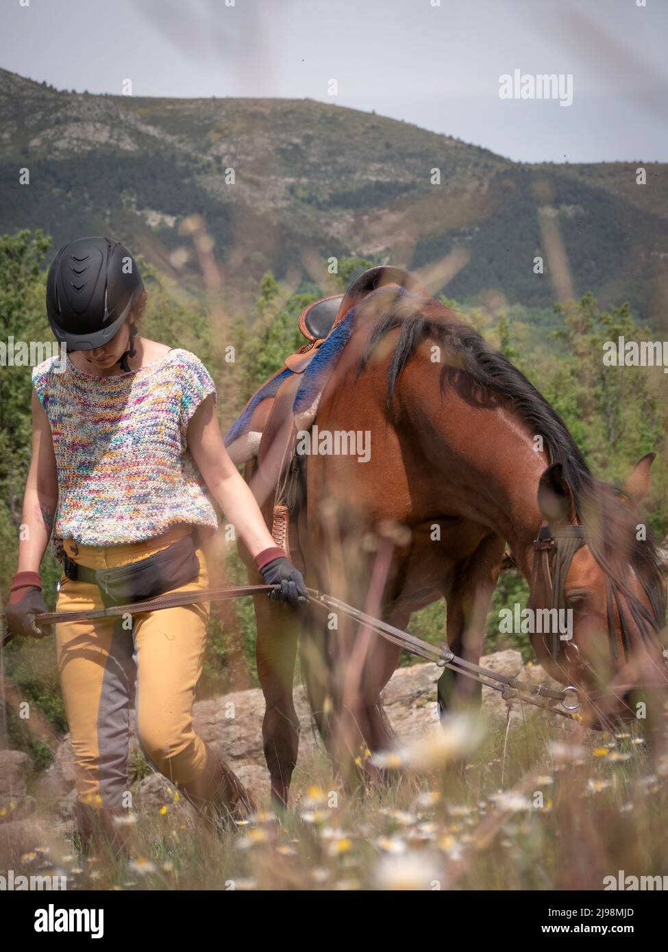 Horse riding trousers hi-res stock photography and images - Alamy
