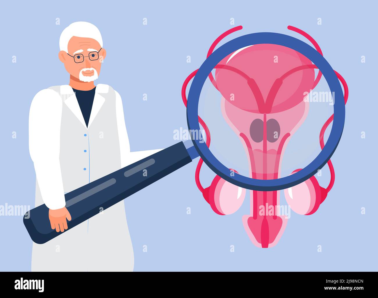 Doctor looks at the prostate through a magnifying glass. Prostate icon concept vector. Andrology andrology illustration for web, landing page, blog. T Stock Vector