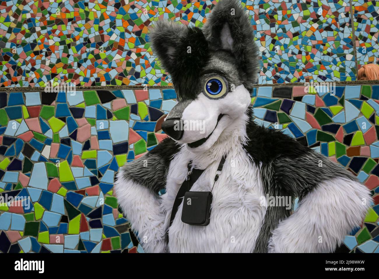 Düsseldorf, NRW, Germany. 21st May, 2022. A cosplayer in fur suit. Cosplayers happily pose along the mosaic wall on the riverbank. Tens of thousands of visitors and cosplayers enjoy the warm sunshine along the river Rhine embankment in their outfits inspired by Japanese anime, video and games. Stage performances, cosplay, stalls and demonstrations of Japanese culture, sports and traditions are featured at Düsseldorf's annual Japan Day, celebrating Japan and the Japanese community in the city. Düsseldorf is home to the largest Japanese community in Germany. Credit: Imageplotter/Alamy Live News Stock Photo