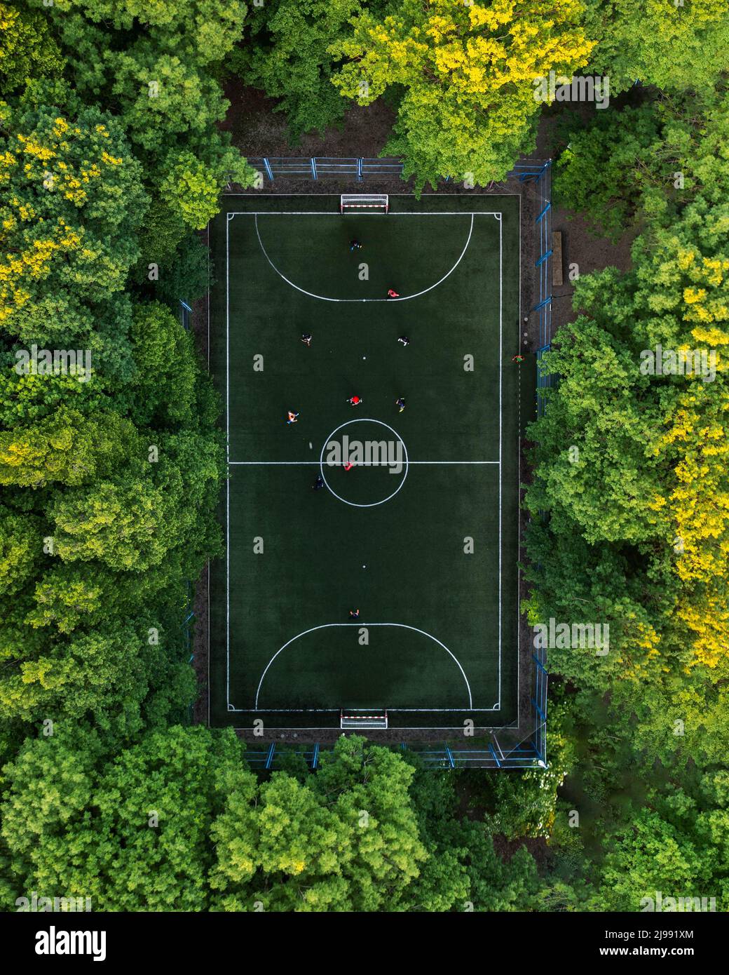 Top view of a soccer field in the forest, tall trees around the stadium Stock Photo Alamy
