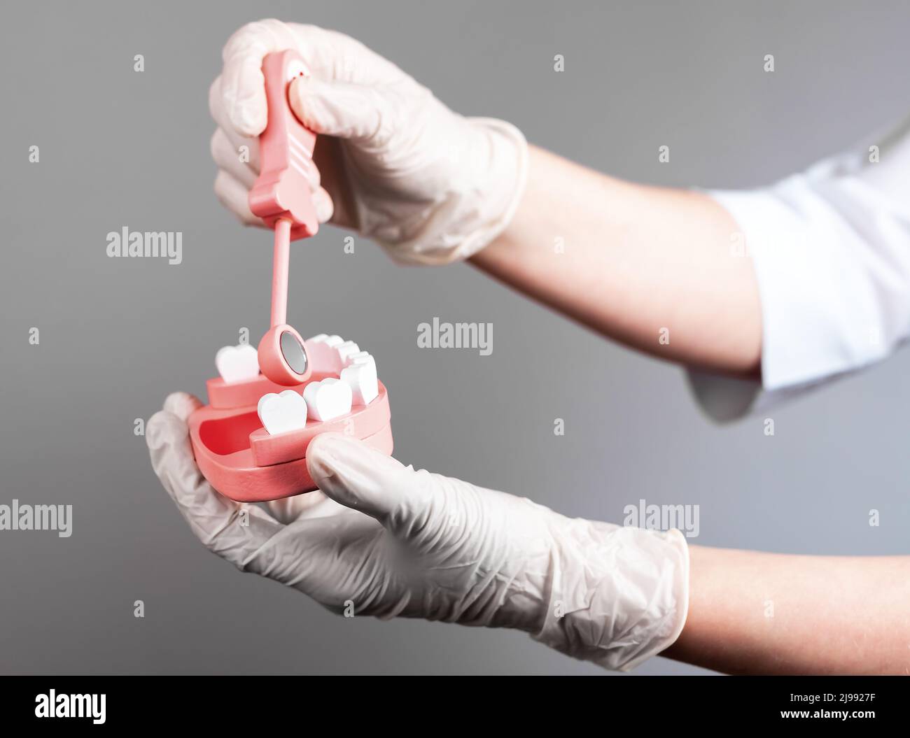 Dentist using mirror for teeth examination at jaw model. Doctor
