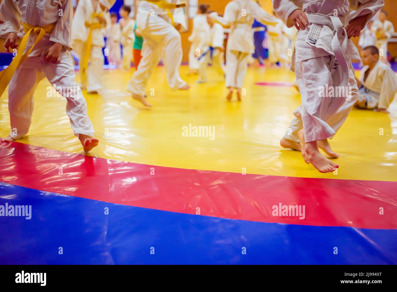 Judo - wrestling, tatami for wrestling, children of sports, legs on a  bright colored tatami Stock Photo - Alamy