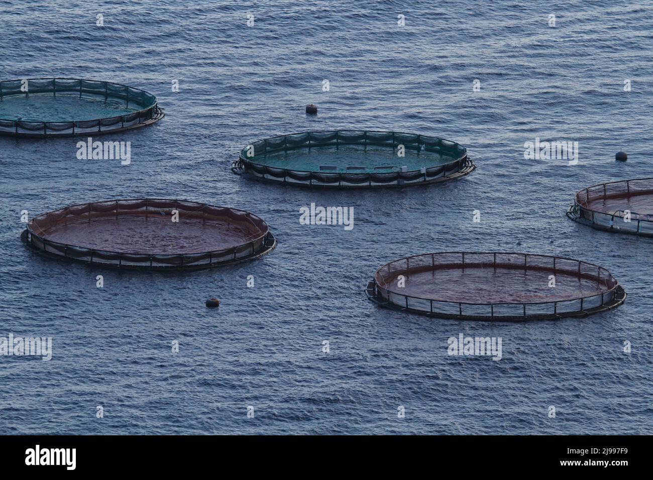 Fish farms in the open sea for breeding fish and other marine animals, near the island of Madeira in the Atlantic Ocean Stock Photo